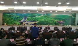 遂溪县新闻爆料电话,民众关注焦点聚焦！